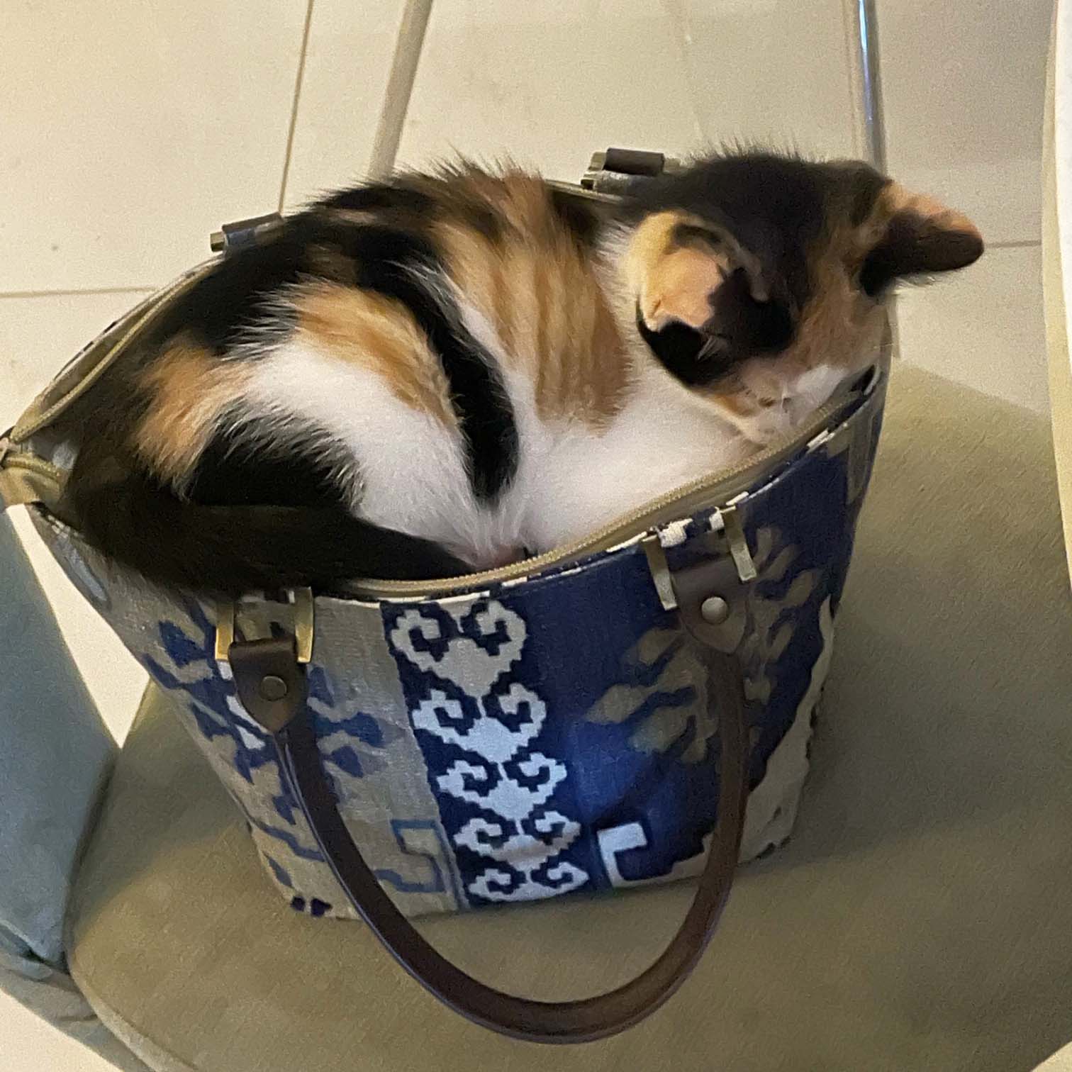 When Your Customer's Cat Approves | Umpie Handbags